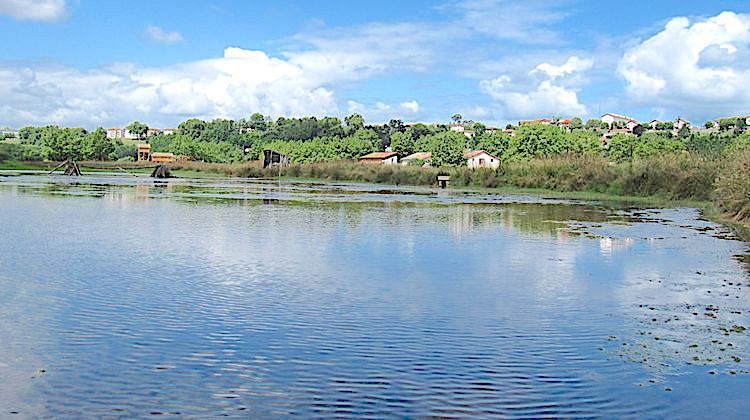 BARTHES EN RÉSERVE - La plaine d’Ansot trace son avenir pour la biodiversité